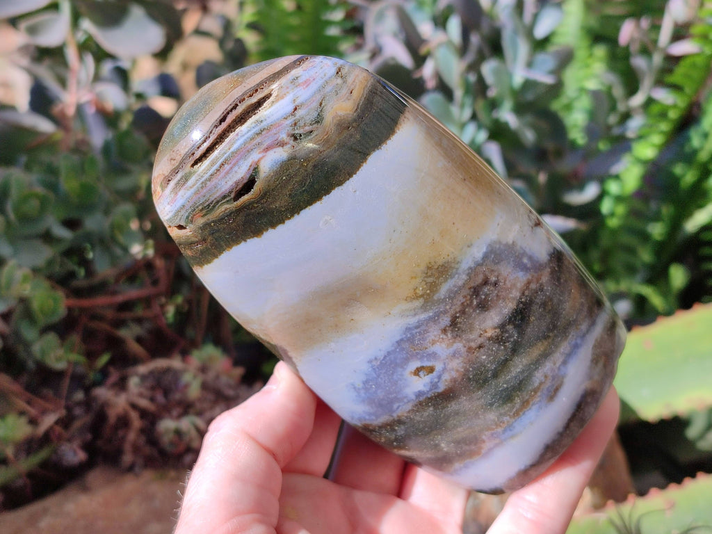 Polished Ocean Jasper Standing Free Forms x 2 From Madagascar - Toprock Gemstones and Minerals 