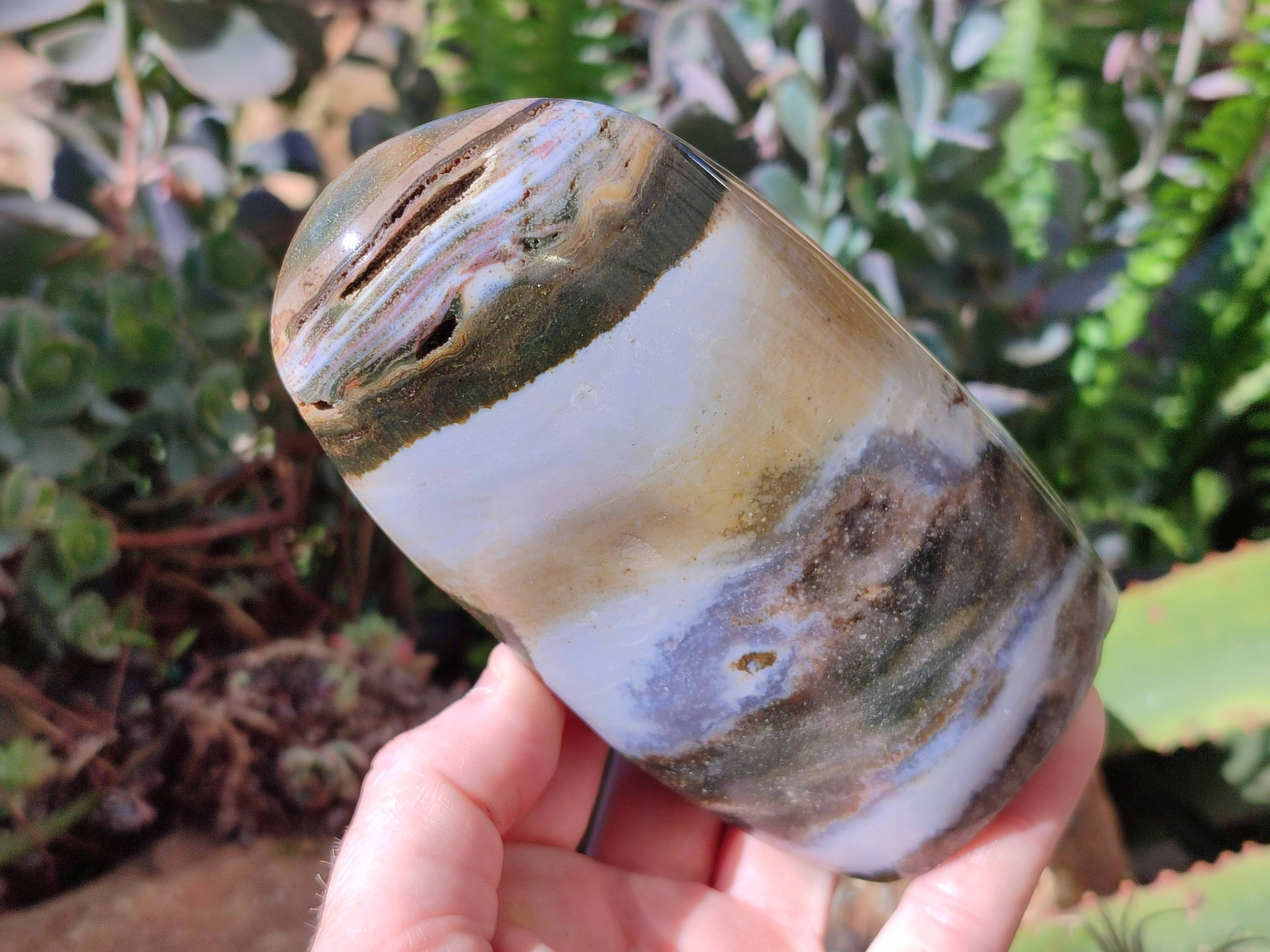 Polished Ocean Jasper Standing Free Forms x 2 From Madagascar - Toprock Gemstones and Minerals 
