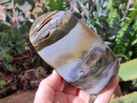 Polished Ocean Jasper Standing Free Forms x 2 From Madagascar