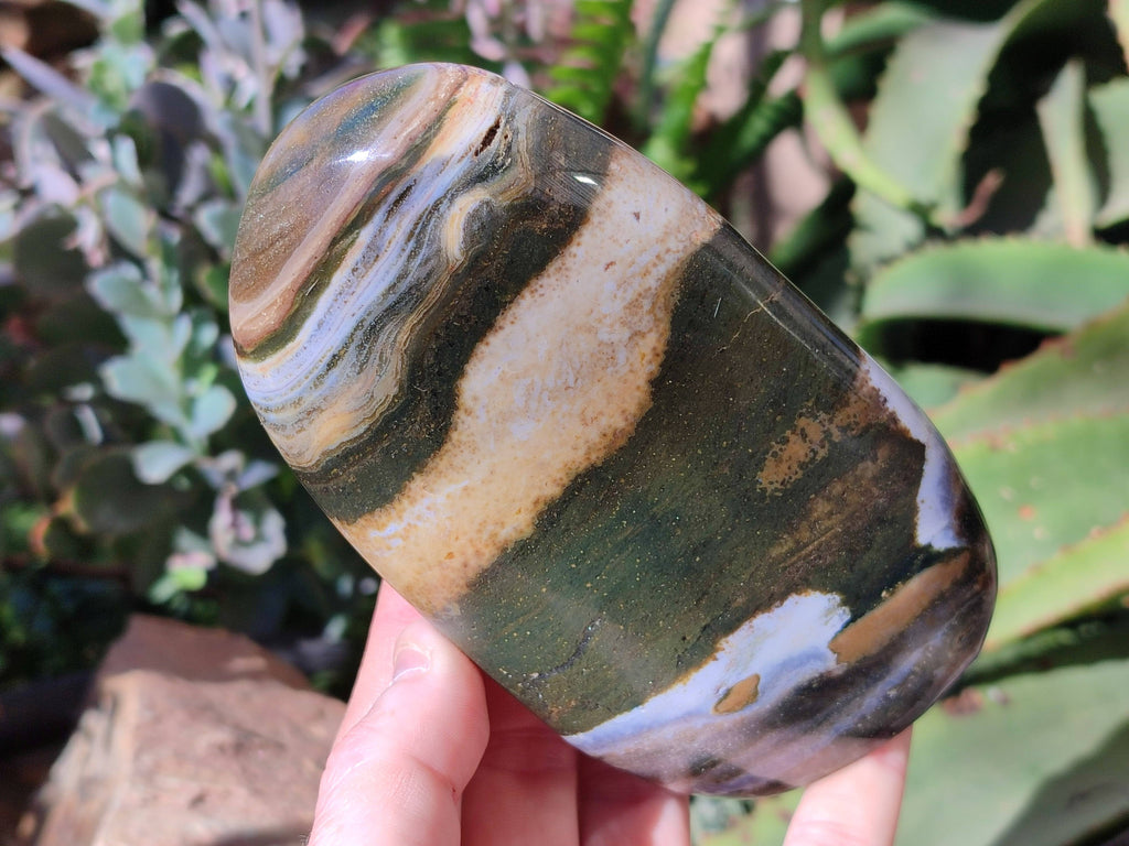 Polished Ocean Jasper Standing Free Forms x 2 From Madagascar - Toprock Gemstones and Minerals 