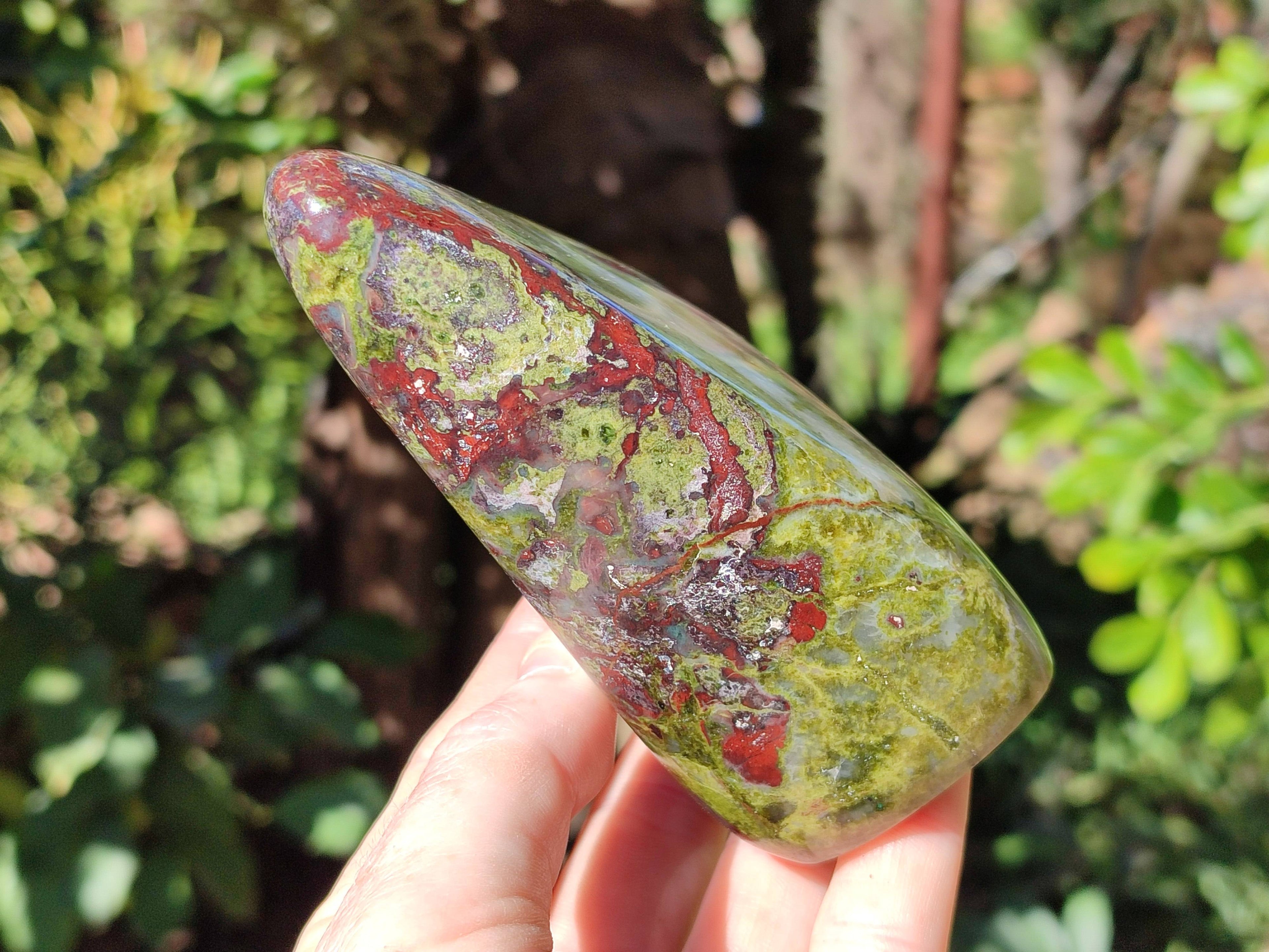 Polished Bastite Dragon Bloodstone Standing Free Forms x 2 From South Africa - Toprock Gemstones and Minerals 