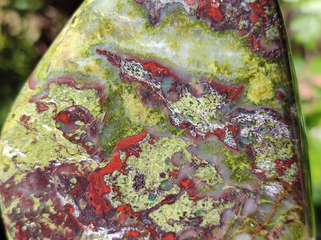 Polished Bastite Dragon Bloodstone Standing Free Forms x 2 From South Africa - Toprock Gemstones and Minerals 