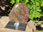 Polished Bastite Dragon Bloodstone Standing Free Forms x 2 From South Africa - Toprock Gemstones and Minerals 