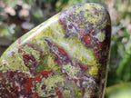 Polished Bastite Dragon Bloodstone Standing Free Forms x 2 From South Africa - Toprock Gemstones and Minerals 