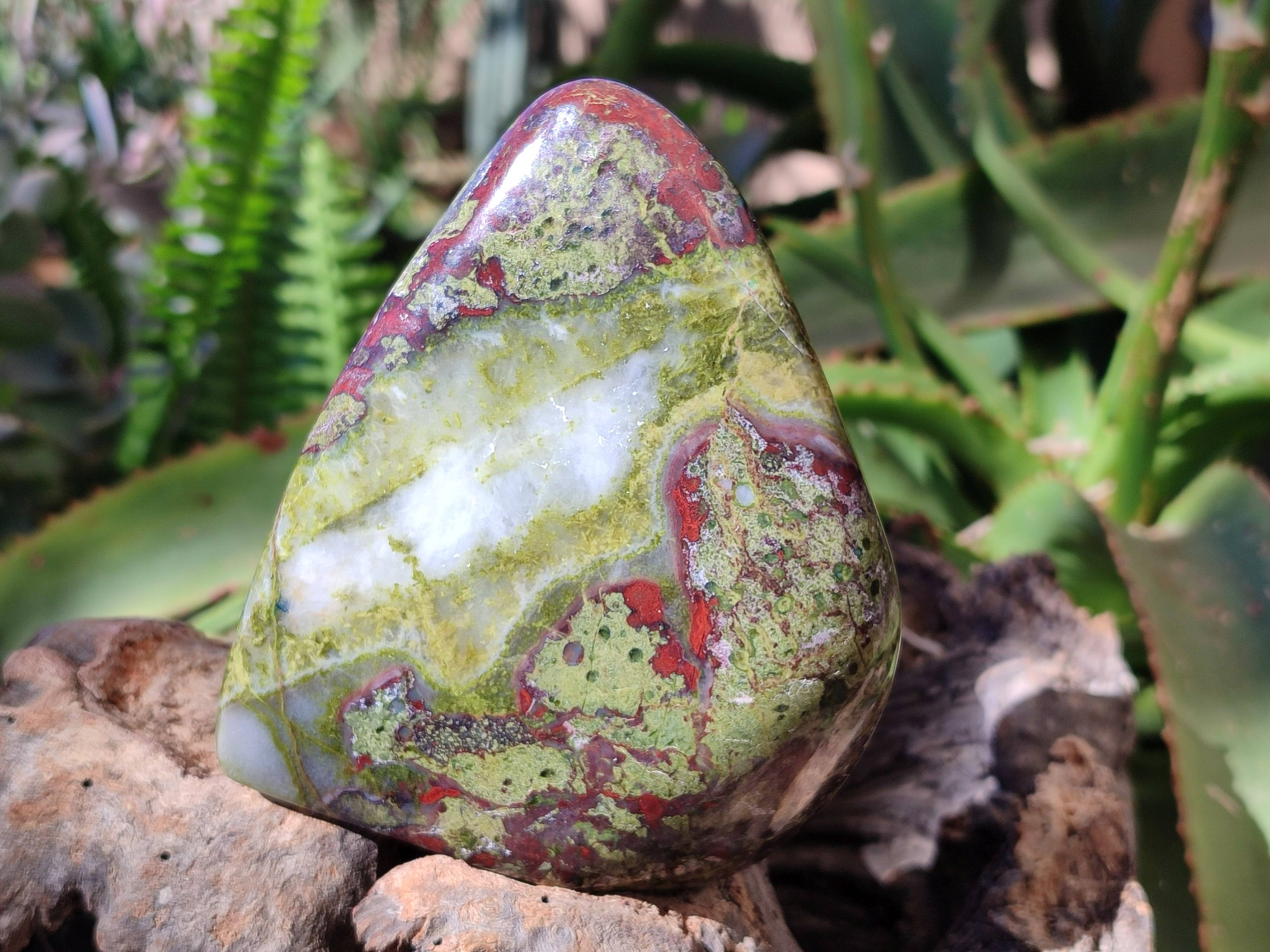 Polished Bastite Dragon Bloodstone Standing Free Forms x 2 From South Africa - Toprock Gemstones and Minerals 
