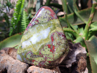 Polished Bastite Dragon Bloodstone Standing Free Forms x 2 From South Africa