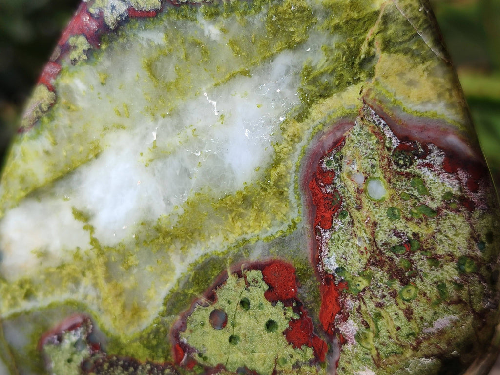 Polished Bastite Dragon Bloodstone Standing Free Forms x 2 From South Africa - Toprock Gemstones and Minerals 