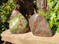 Polished Bastite Dragon Bloodstone Standing Free Forms x 2 From South Africa - Toprock Gemstones and Minerals 
