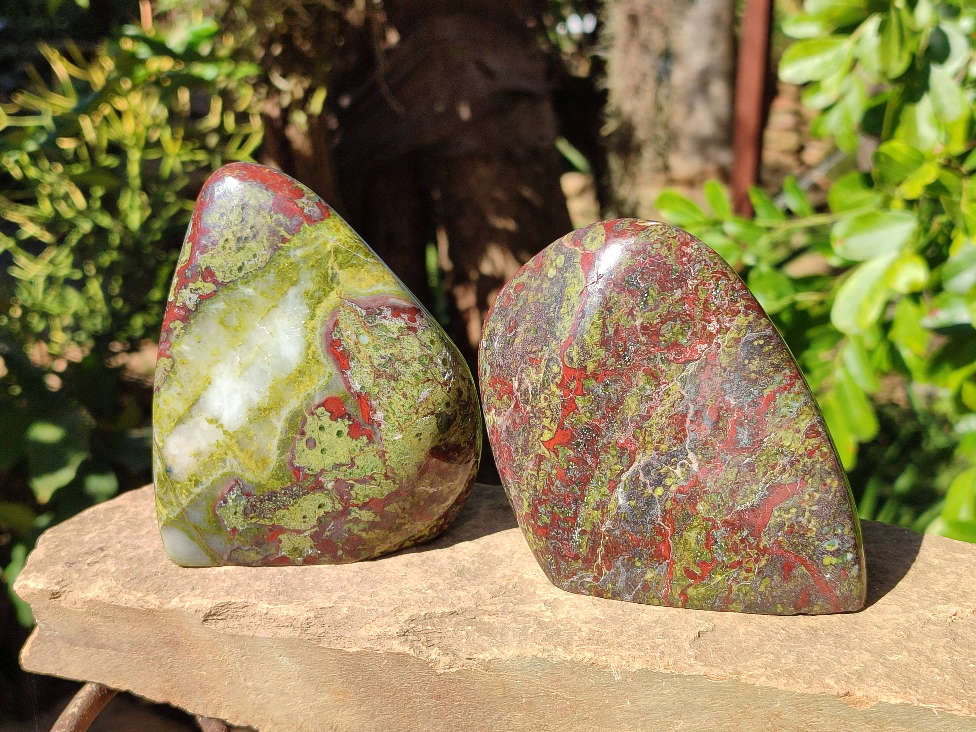 Polished Bastite Dragon Bloodstone Standing Free Forms x 2 From South Africa - Toprock Gemstones and Minerals 