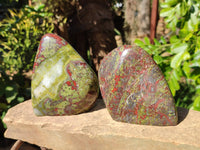 Polished Bastite Dragon Bloodstone Standing Free Forms x 2 From South Africa
