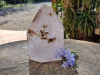 Polished Window Amethyst Crystal x 1 From Madagascar