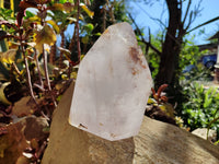 Polished Window Amethyst Crystal x 1 From Madagascar