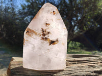 Polished Window Amethyst Crystal x 1 From Madagascar
