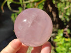 Polished Rose Quartz Spheres x 4 From Madagascar - Toprock Gemstones and Minerals 