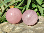 Polished Rose Quartz Spheres x 4 From Madagascar - Toprock Gemstones and Minerals 