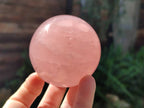 Polished Rose Quartz Spheres x 4 From Madagascar - Toprock Gemstones and Minerals 