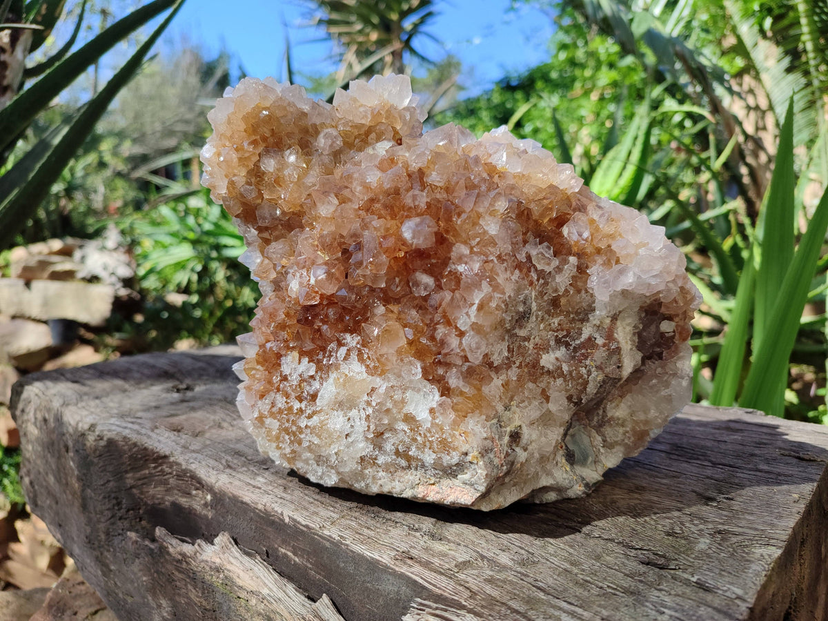 Natural Spirit Quartz Cluster x 1 From Boekenhouthoek, South Africa - Toprock Gemstones and Minerals 