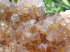 Natural Spirit Quartz Cluster x 1 From Boekenhouthoek, South Africa - Toprock Gemstones and Minerals 