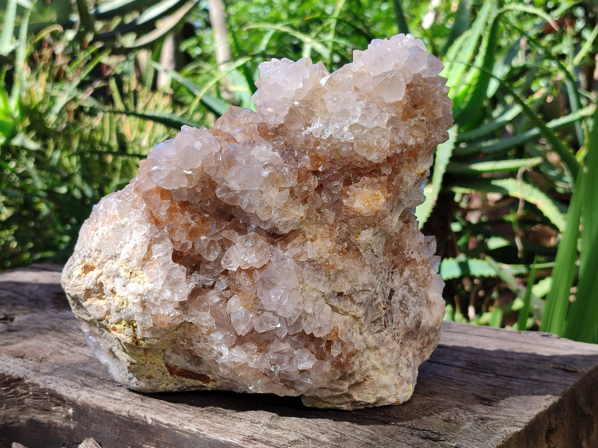 Natural Spirit Quartz Cluster x 1 From Boekenhouthoek, South Africa - Toprock Gemstones and Minerals 