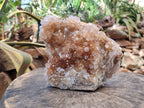 Natural Spirit Quartz Cluster x 1 From Boekenhouthoek, South Africa - Toprock Gemstones and Minerals 