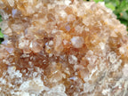 Natural Spirit Quartz Cluster x 1 From Boekenhouthoek, South Africa - Toprock Gemstones and Minerals 