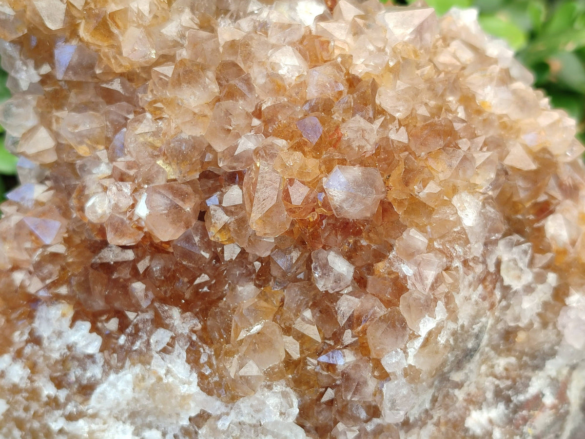 Natural Spirit Quartz Cluster x 1 From Boekenhouthoek, South Africa - Toprock Gemstones and Minerals 
