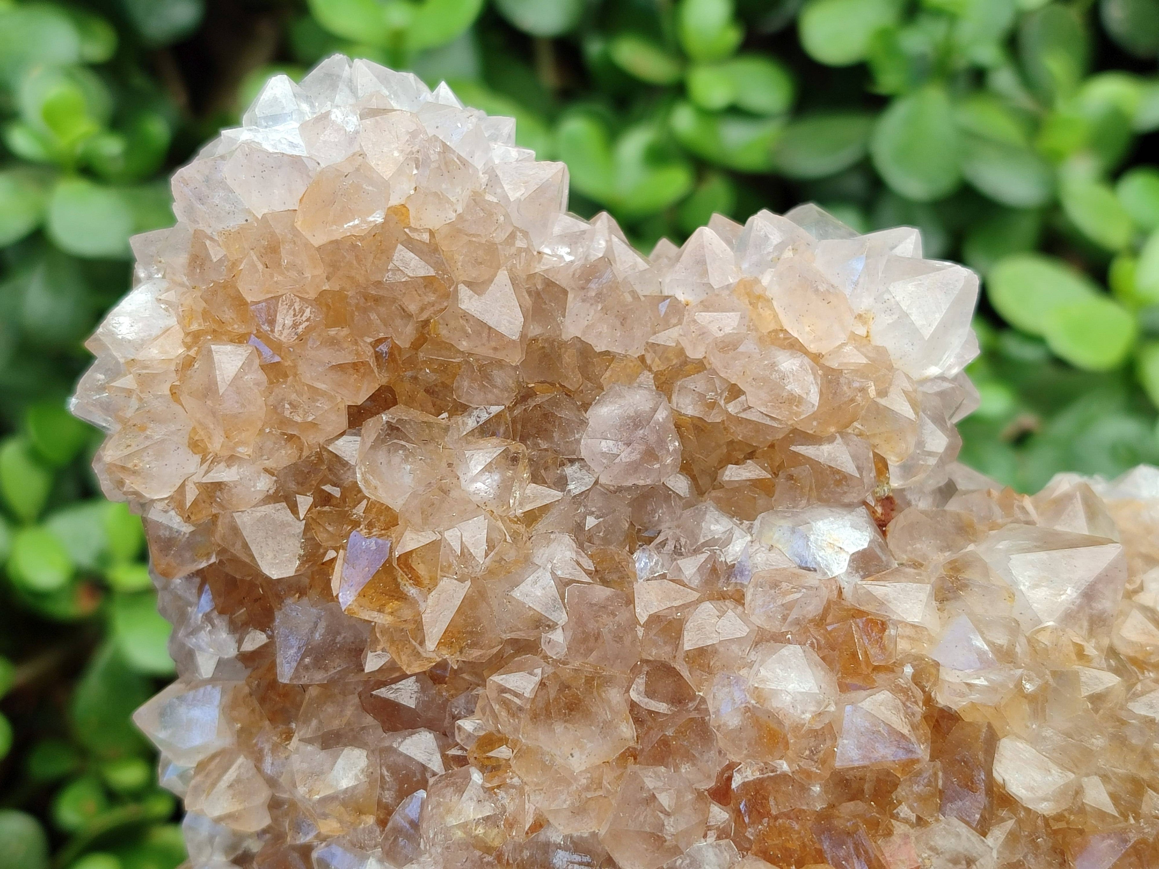 Natural Spirit Quartz Cluster x 1 From Boekenhouthoek, South Africa - Toprock Gemstones and Minerals 