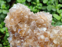Natural Spirit Quartz Cluster x 1 From Boekenhouthoek, South Africa