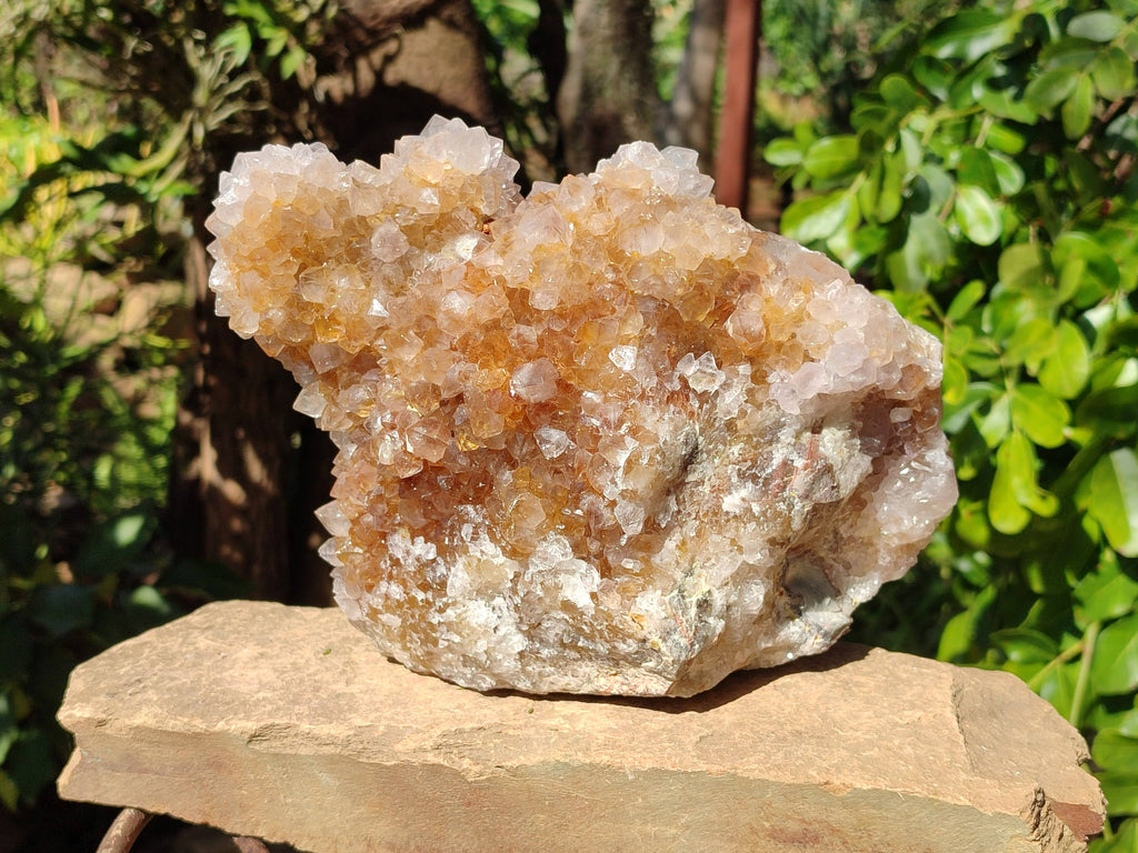 Natural Spirit Quartz Cluster x 1 From Boekenhouthoek, South Africa - Toprock Gemstones and Minerals 