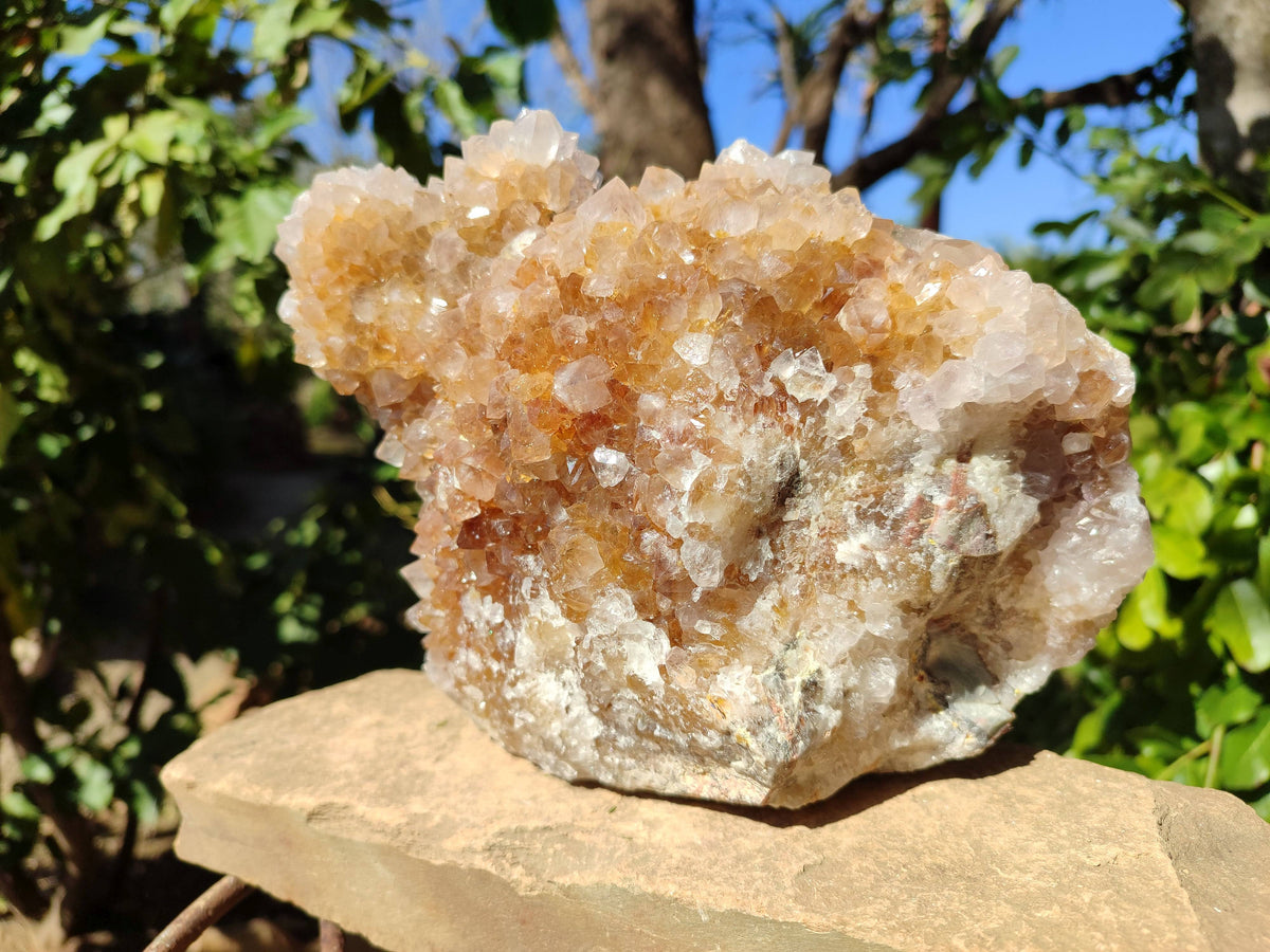 Natural Spirit Quartz Cluster x 1 From Boekenhouthoek, South Africa - Toprock Gemstones and Minerals 