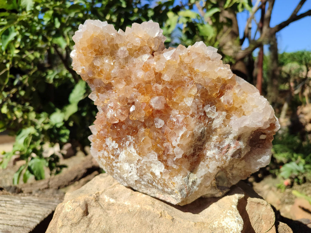 Natural Spirit Quartz Cluster x 1 From Boekenhouthoek, South Africa - Toprock Gemstones and Minerals 