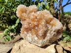 Natural Spirit Quartz Cluster x 1 From Boekenhouthoek, South Africa - Toprock Gemstones and Minerals 