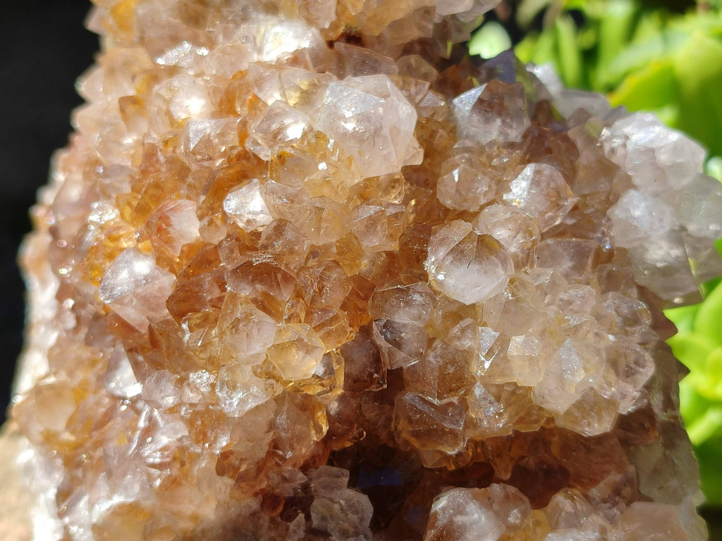 Natural Spirit Quartz Cluster x 1 From Boekenhouthoek, South Africa - Toprock Gemstones and Minerals 