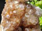 Natural Spirit Quartz Cluster x 1 From Boekenhouthoek, South Africa - Toprock Gemstones and Minerals 