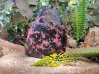 Polished Rhodonite Standing Free Form x 1 From Ambindavato, Madagascar - Toprock Gemstones and Minerals 