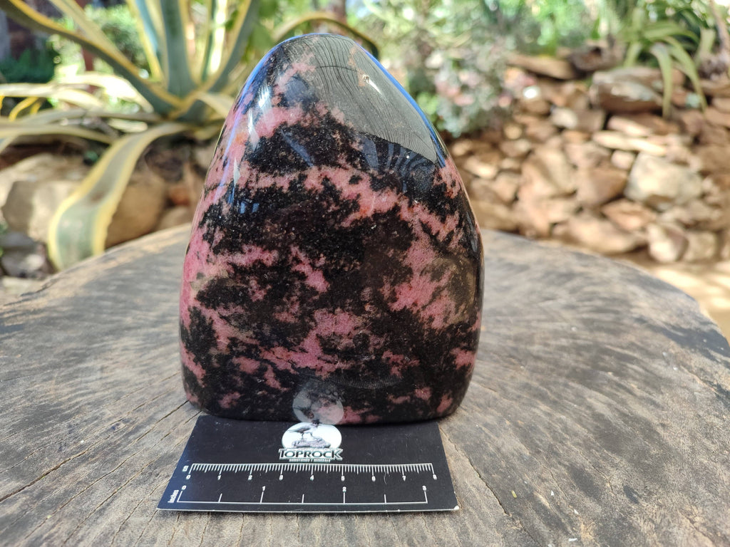 Polished Rhodonite Standing Free Form x 1 From Ambindavato, Madagascar - Toprock Gemstones and Minerals 