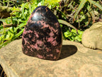 Polished Rhodonite Standing Free Form x 1 From Ambindavato, Madagascar - Toprock Gemstones and Minerals 