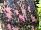Polished Rhodonite Standing Free Form x 1 From Ambindavato, Madagascar - Toprock Gemstones and Minerals 