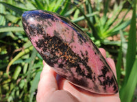 Polished Rhodonite Standing Free Form x 1 From Ambindavato, Madagascar