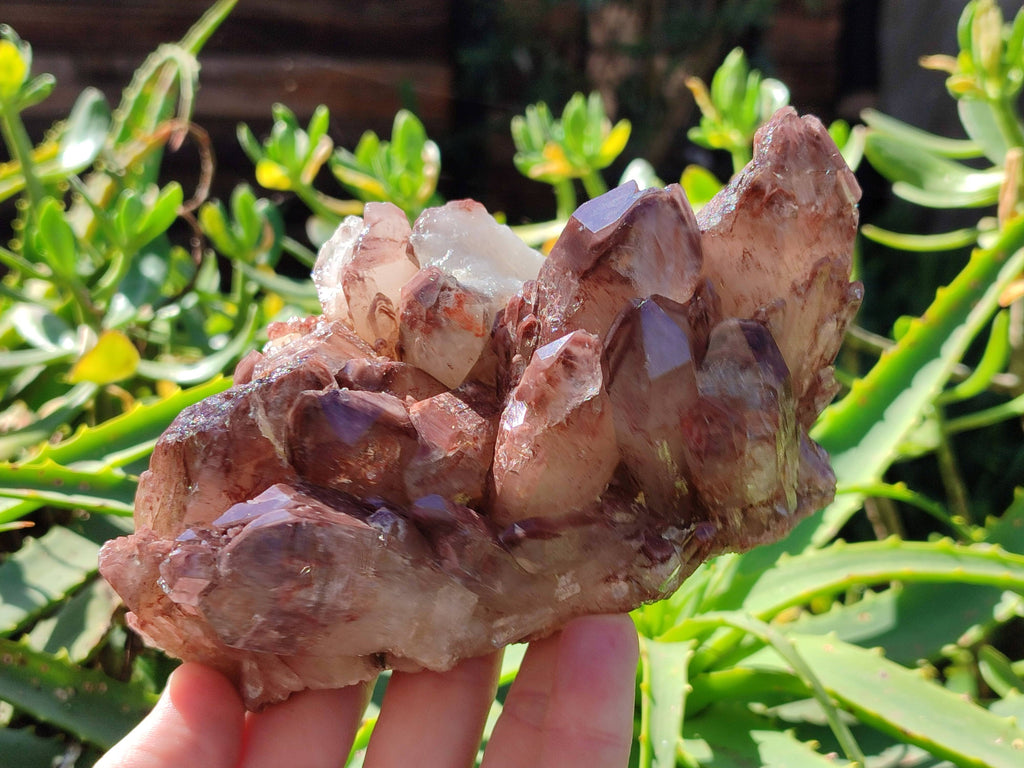 Natural Red Hematoid Quartz Clusters x 3 From Karoi, Zimbabwe - Toprock Gemstones and Minerals 