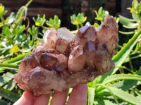 Natural Red Hematoid Quartz Clusters x 3 From Karoi, Zimbabwe