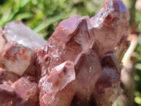 Natural Red Hematoid Quartz Clusters x 3 From Karoi, Zimbabwe