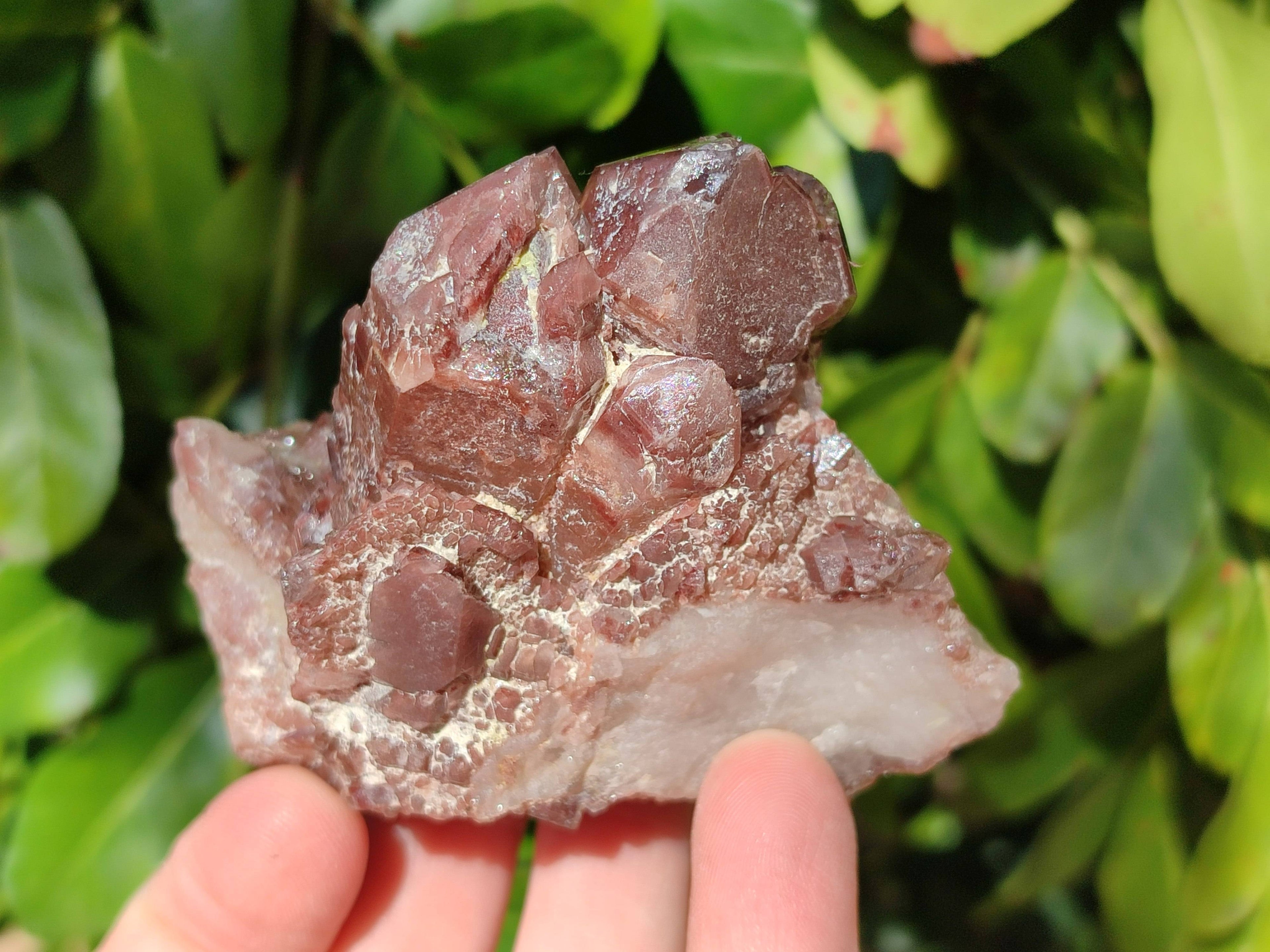 Natural Red Hematoid Quartz Clusters x 3 From Karoi, Zimbabwe - Toprock Gemstones and Minerals 