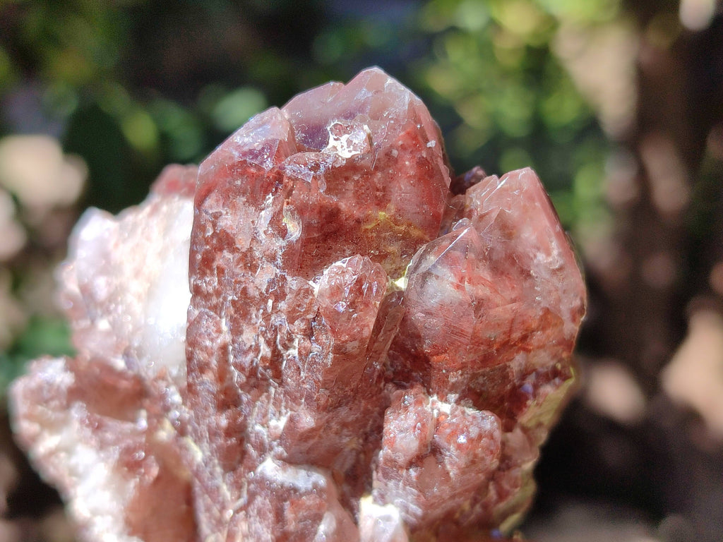 Natural Red Hematoid Quartz Clusters x 3 From Karoi, Zimbabwe - Toprock Gemstones and Minerals 