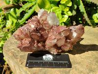 Natural Red Hematoid Quartz Clusters x 3 From Karoi, Zimbabwe