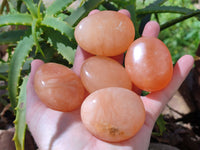 Polished Orange Twist Calcite Palm Stones x 24 From Maevantanana, Madagascar