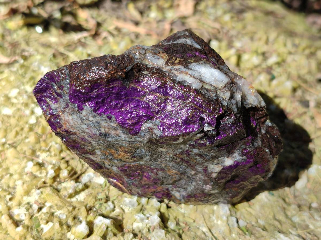 Natural Metallic Purpurite Specimens x 6 From Erongo, Namibia - Toprock Gemstones and Minerals 