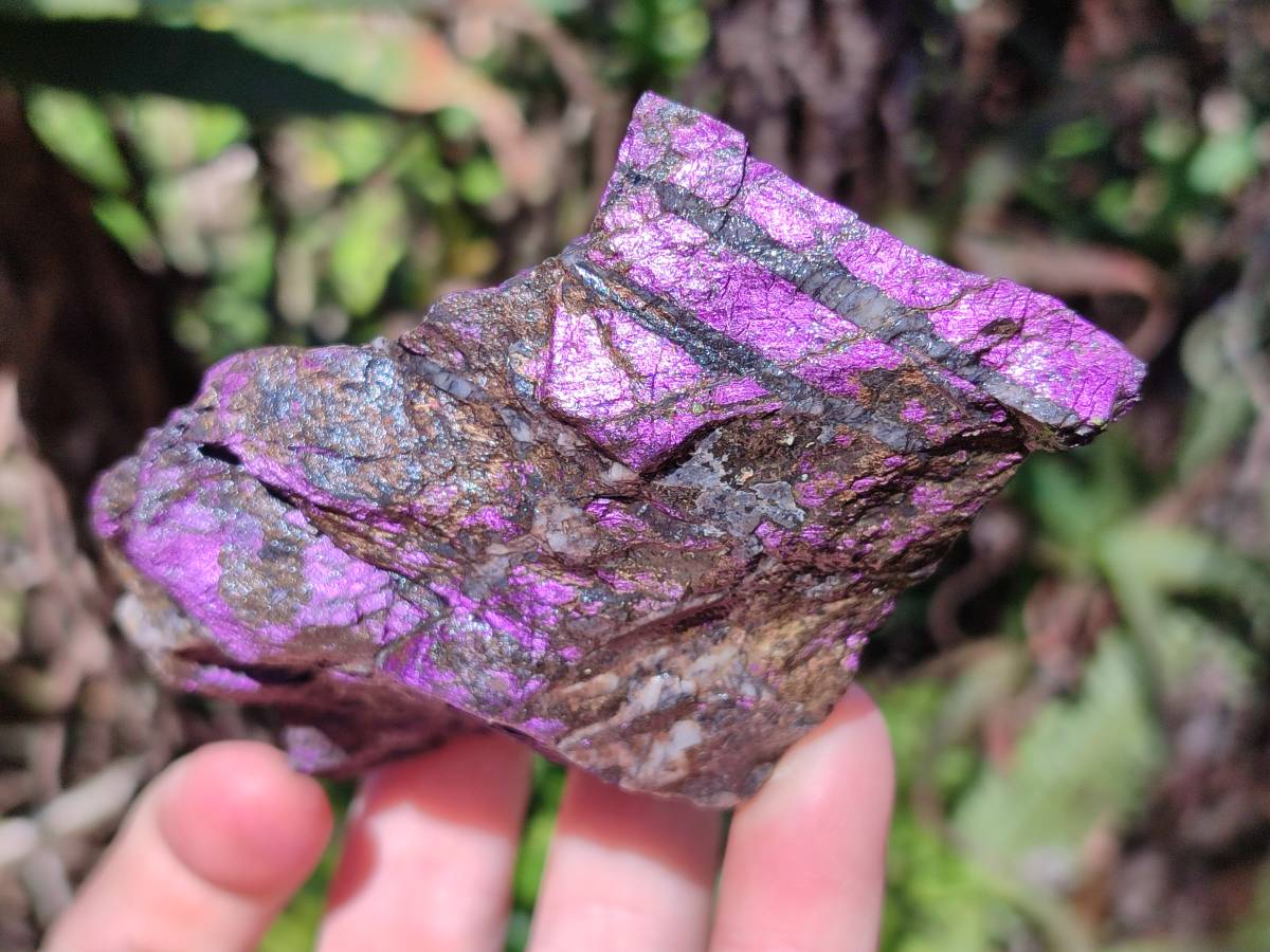 Natural Metallic Purpurite Specimens x 6 From Erongo, Namibia - Toprock Gemstones and Minerals 
