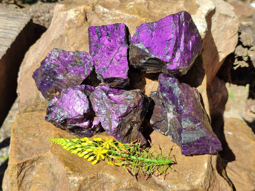 Natural Metallic Purpurite Specimens x 6 From Erongo, Namibia - Toprock Gemstones and Minerals 