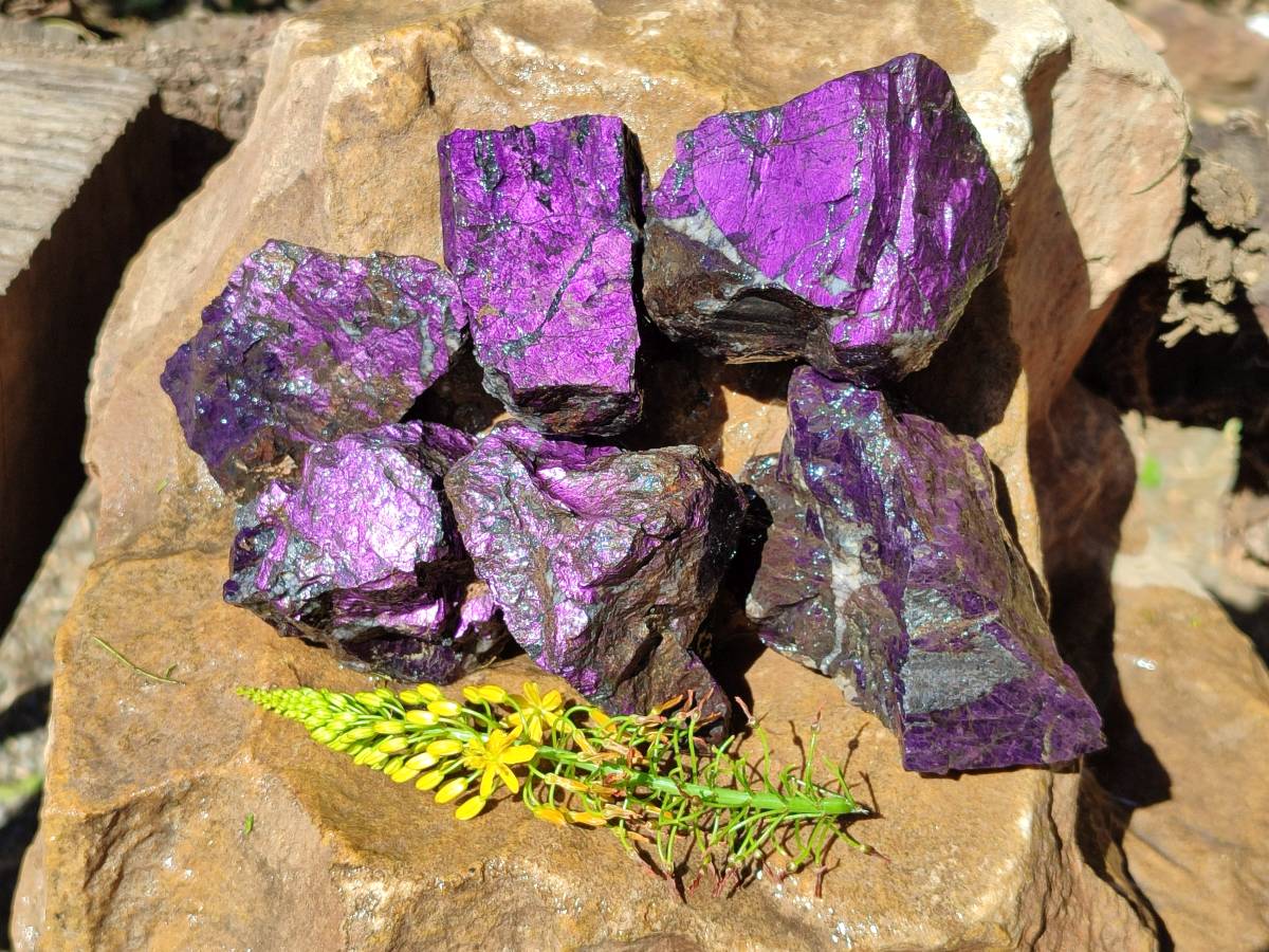 Natural Metallic Purpurite Specimens x 6 From Erongo, Namibia - Toprock Gemstones and Minerals 